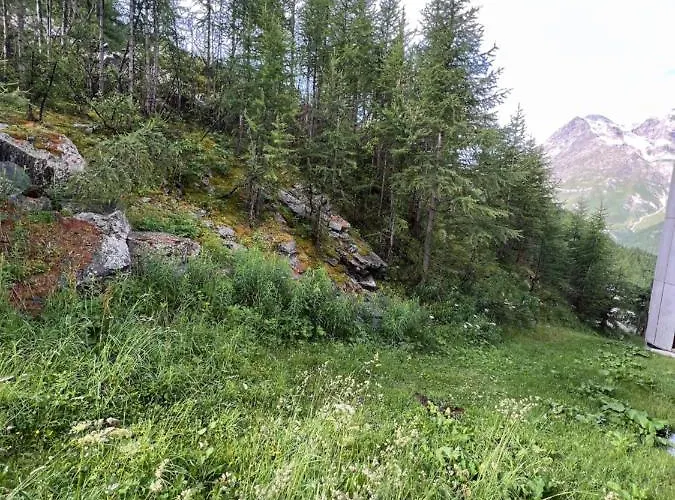 Casa Cervinia Shuss 2 *